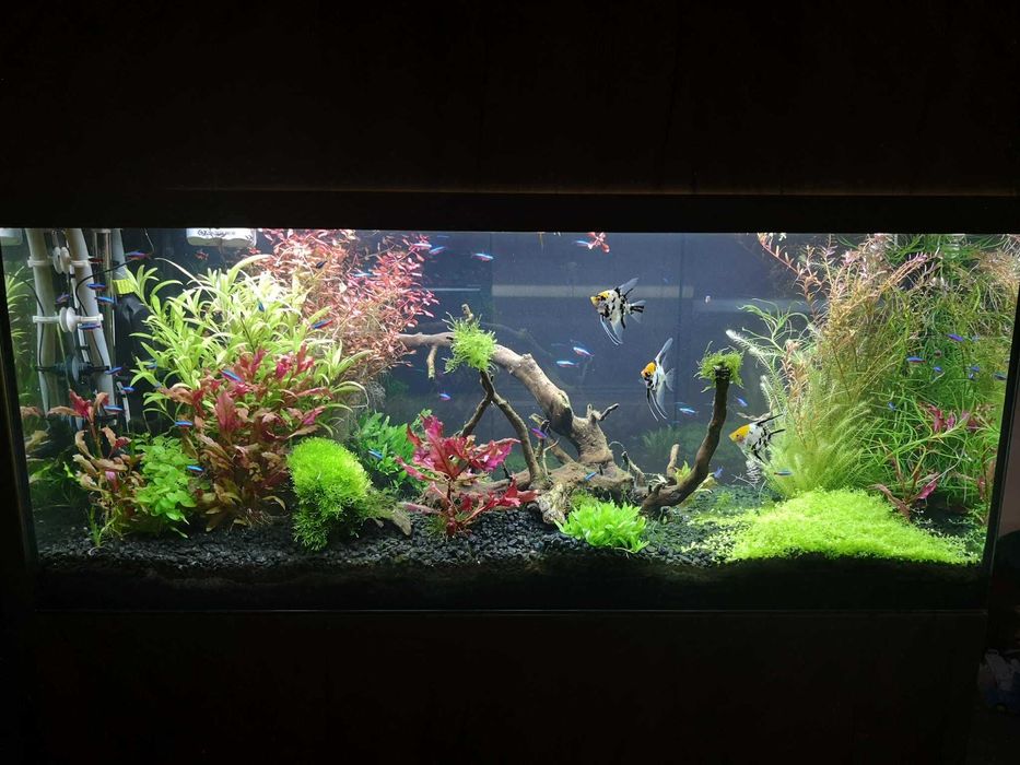 Akwarium pełen zestaw suchy komin Mega