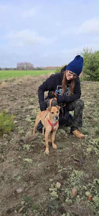 Malutki Kuśko ,szuka domu.