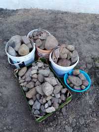 Kamienie z ogródka