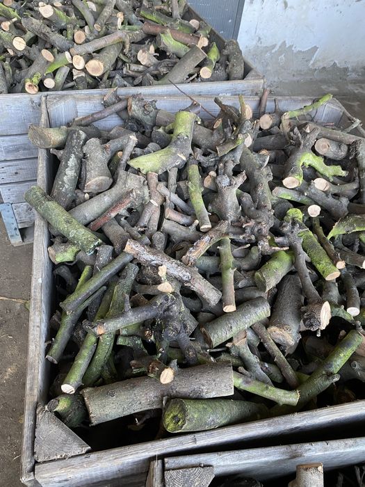 Drzewo suche opałowe