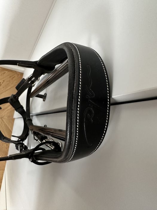 Ogłowie Dyon  Working