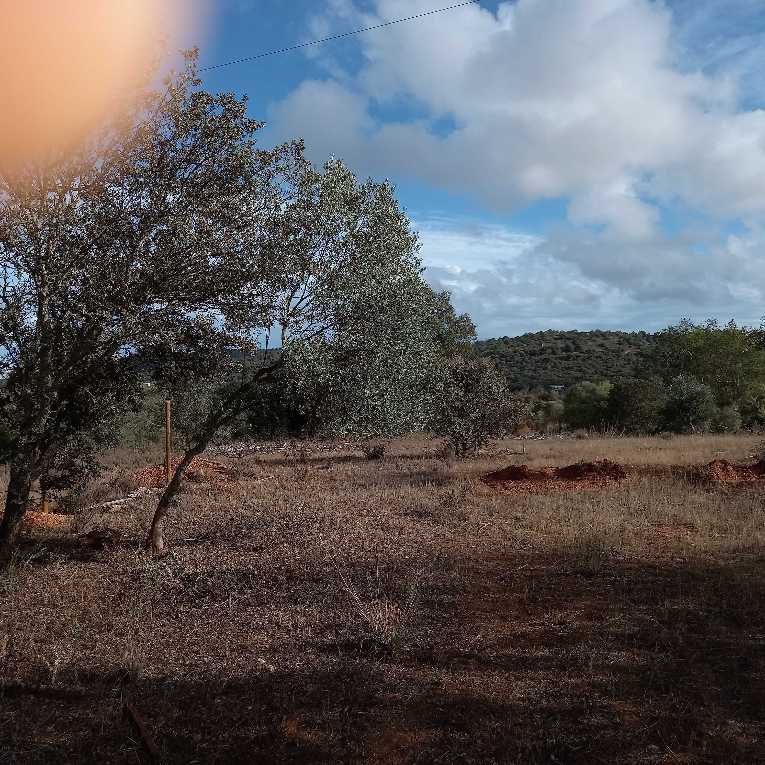 Terreno Rustico (Rustic Plot of Land) Paderne, Albufeira