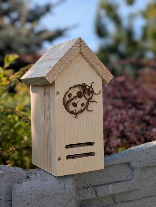 Budka lęgowa dla biedronek grawer