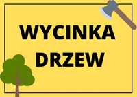 Wycinka drzew krzewów ścinka cięcie rąbanie wywóz gałęzi