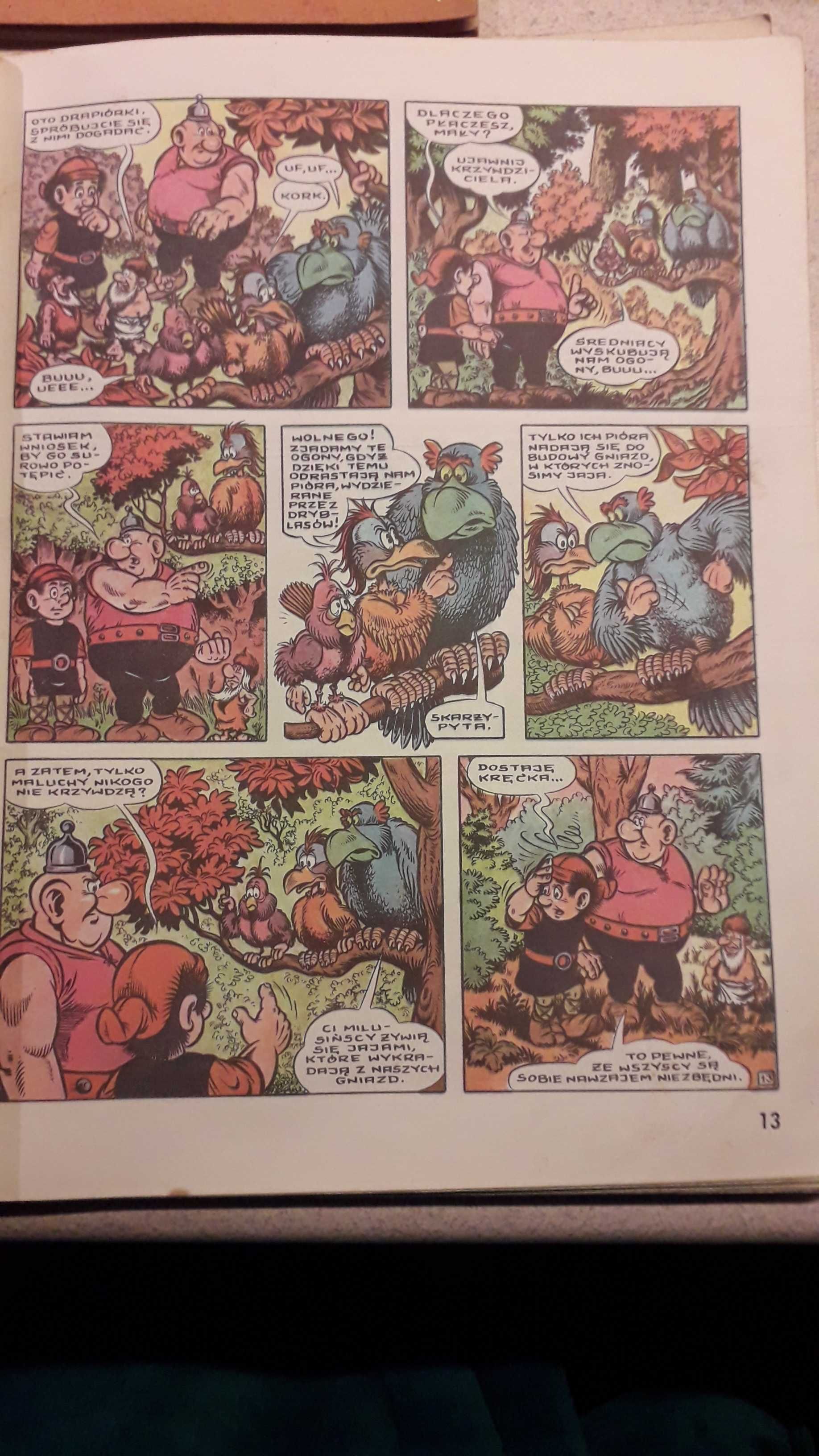 komiks Kajko i Kokosz w krainie Borostworów