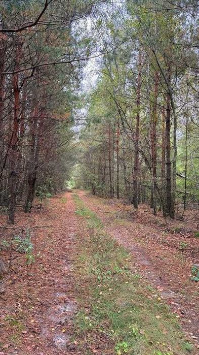Продаж масиву землі під ЗАБУДОВУ біля Житомирської траси!