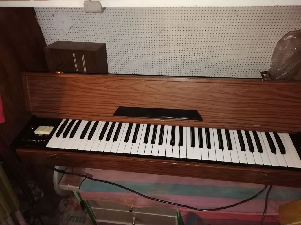 Organy Crumar W24