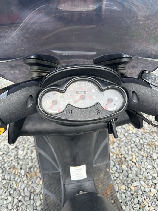 Yamaha Skylainer-Magesti