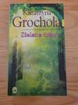 Zielone drzwi, Katarzyna Grochola