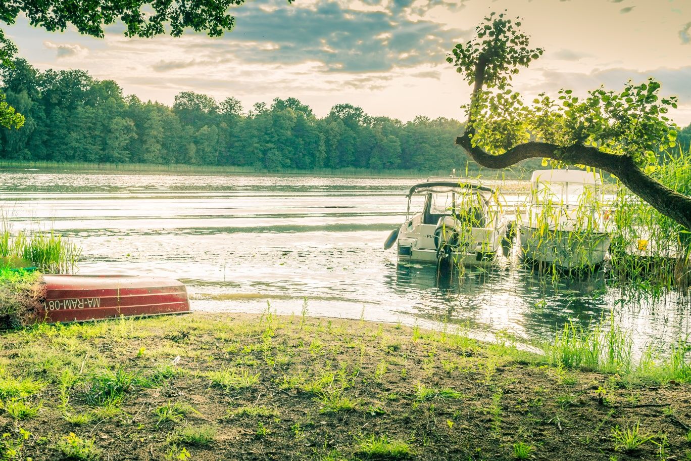 Całoroczny  domek nad jeziorem