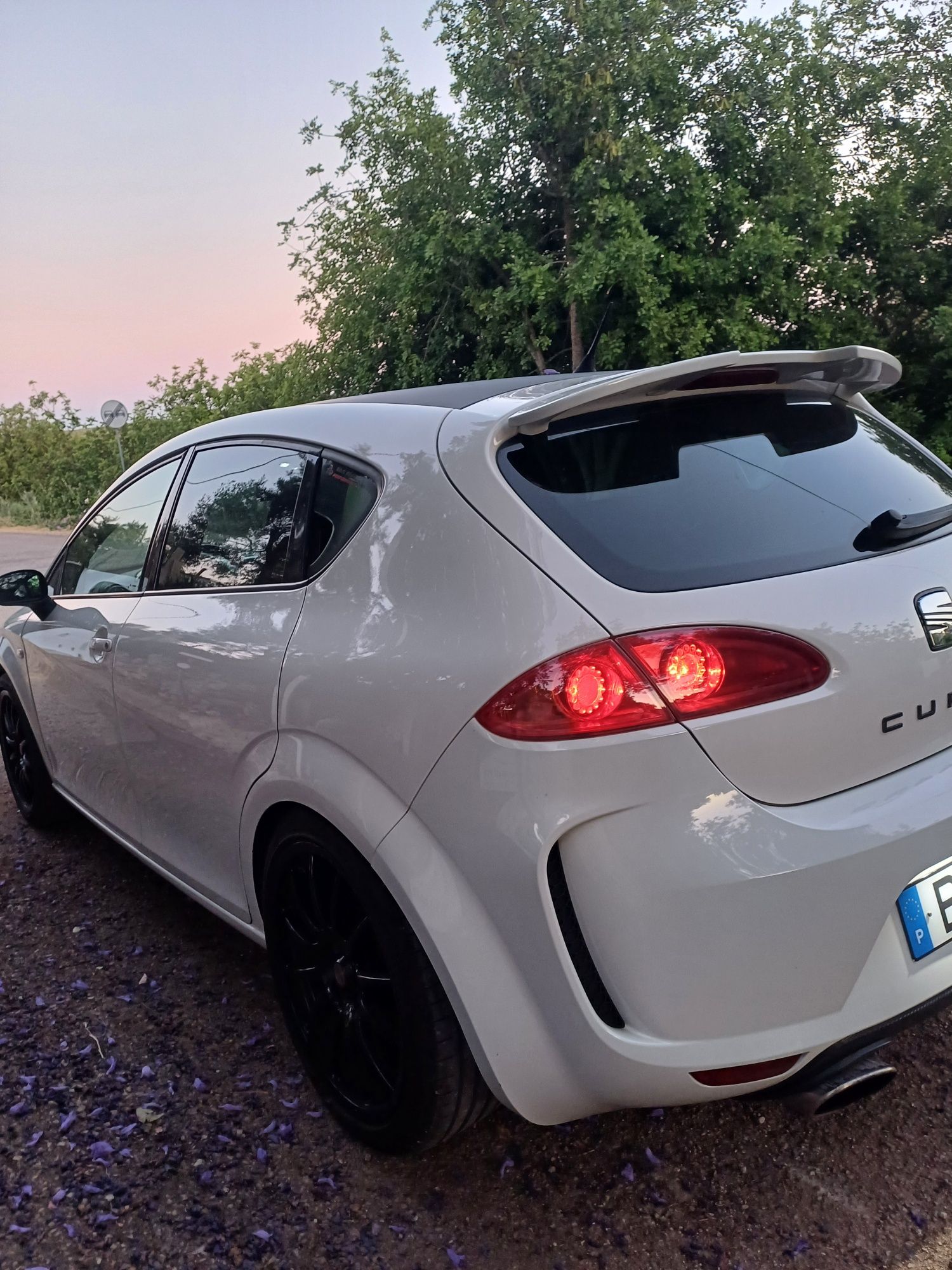 Seat Leon CUPRA 2.0 tfsi