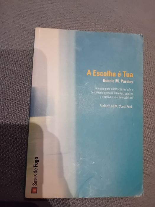 A Escolha é tua - Bonnie M. Parsley