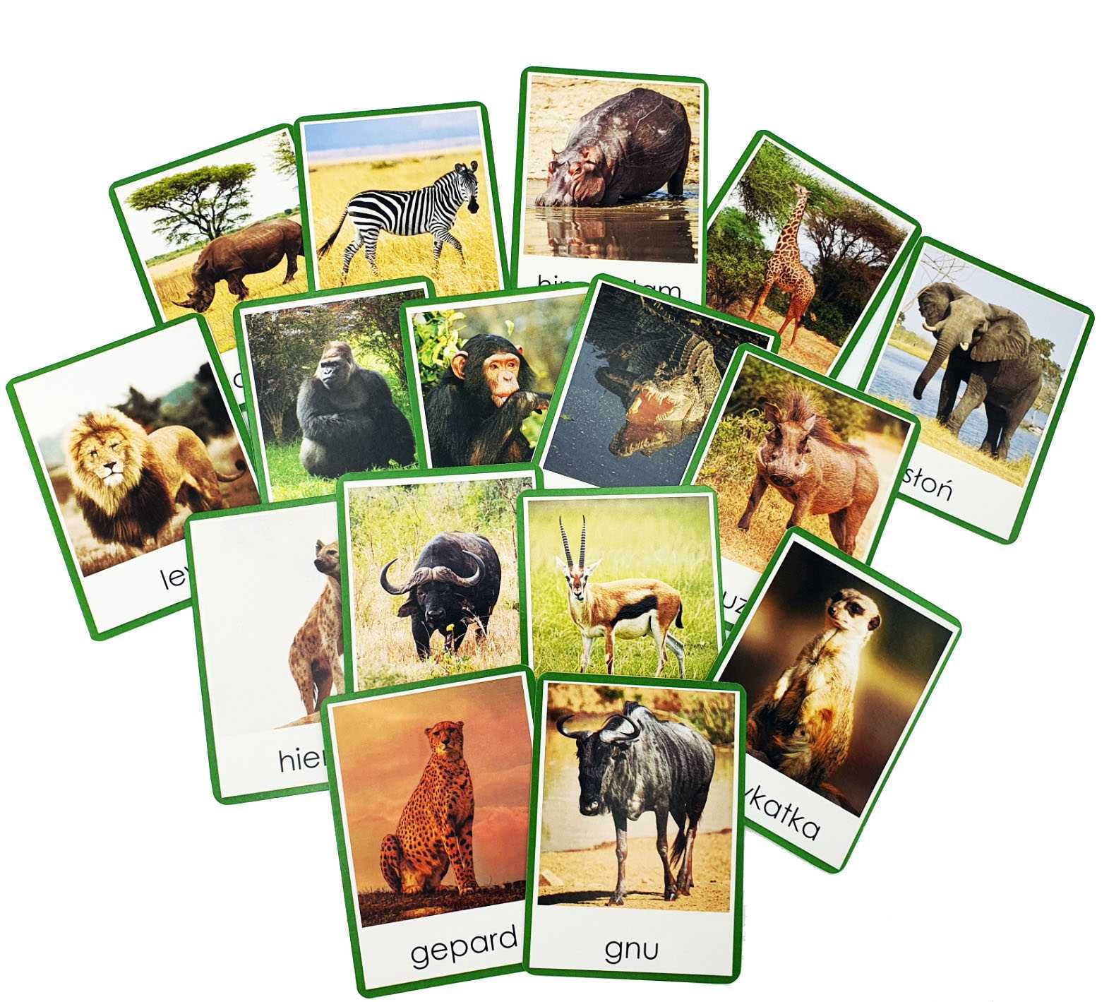 Karty obrazkowe fiszki ze zdjęciami zwierzęta Afryki Montessori 16szt