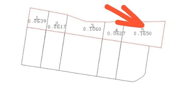 16,5 сот біля соснового лісу та водойми