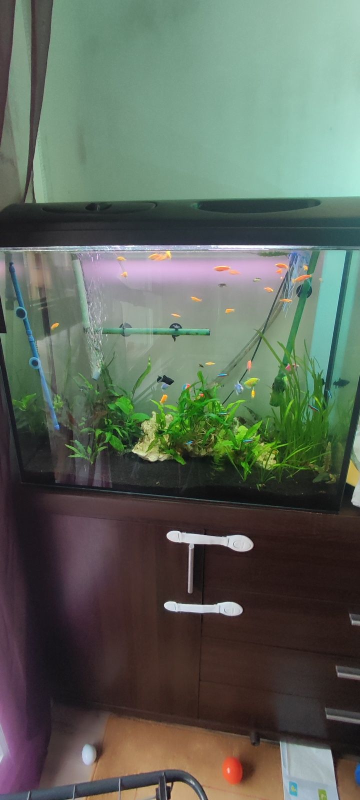 Sprzedam akwarium 170l z filtrem