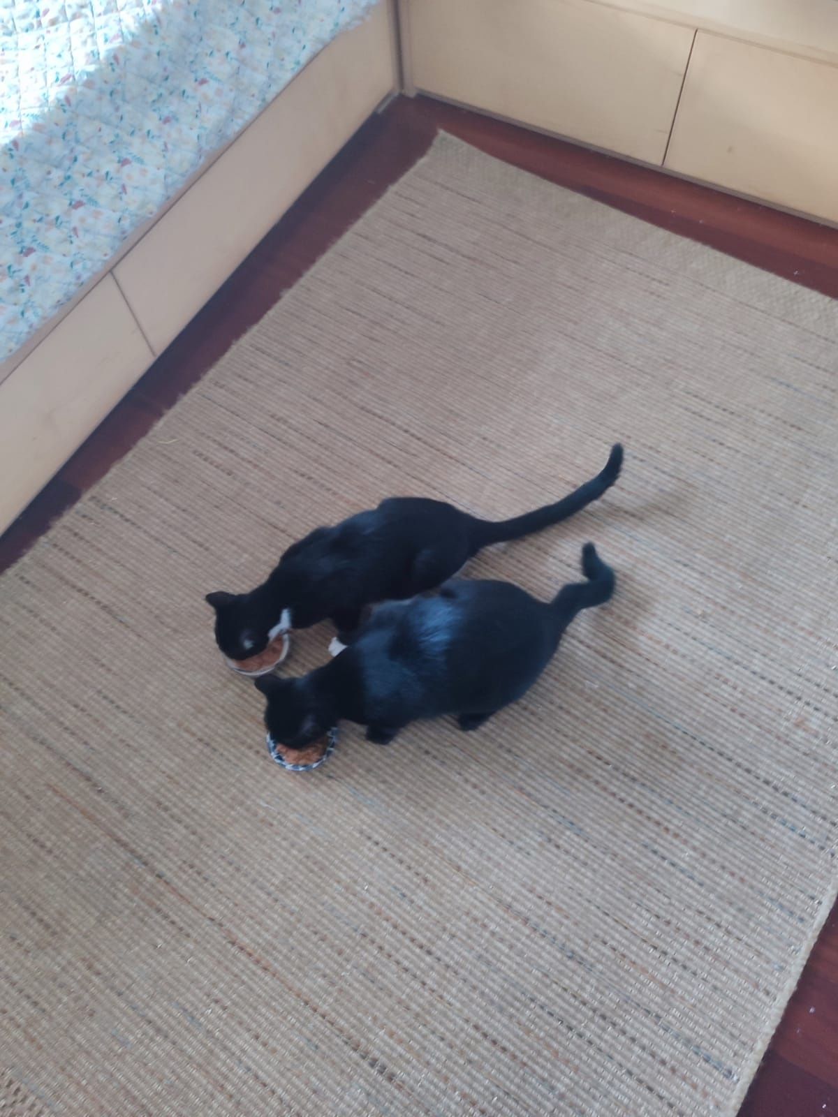 Serviço hotel e Creche em estadia familiar