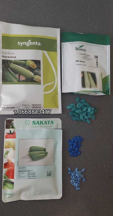 Насіння кабачків Імпорт Збір врожаю до Осені з професійної упаковки
