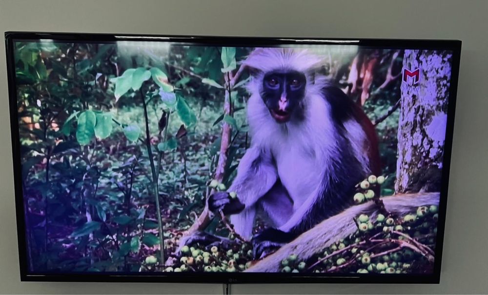 Телевізор LG webOS TV UH603V