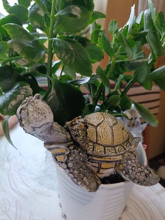 Sprzedam napowietrzacz do akwarium