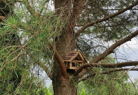 Karmnik dla ptaków budka dekoracja ogród taras dom