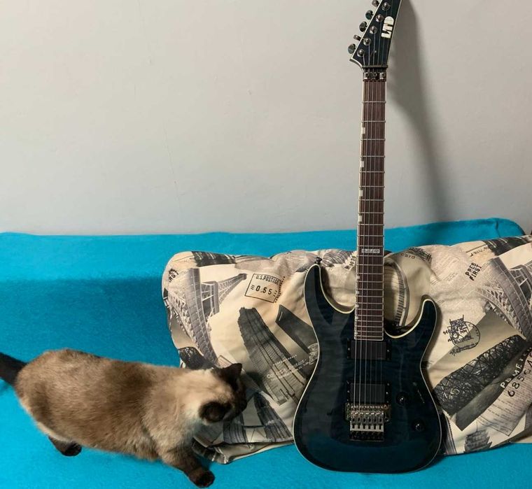 LTD MH 400 (Корея, 2007 р.)