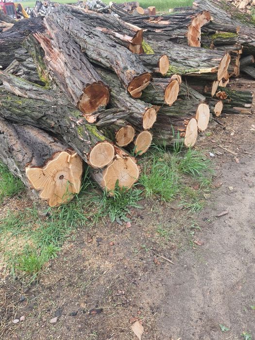 Sprzedam drewno kominkowe