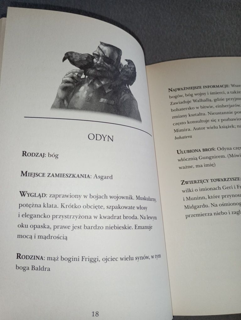 Przewodnik po światach nordyckich
