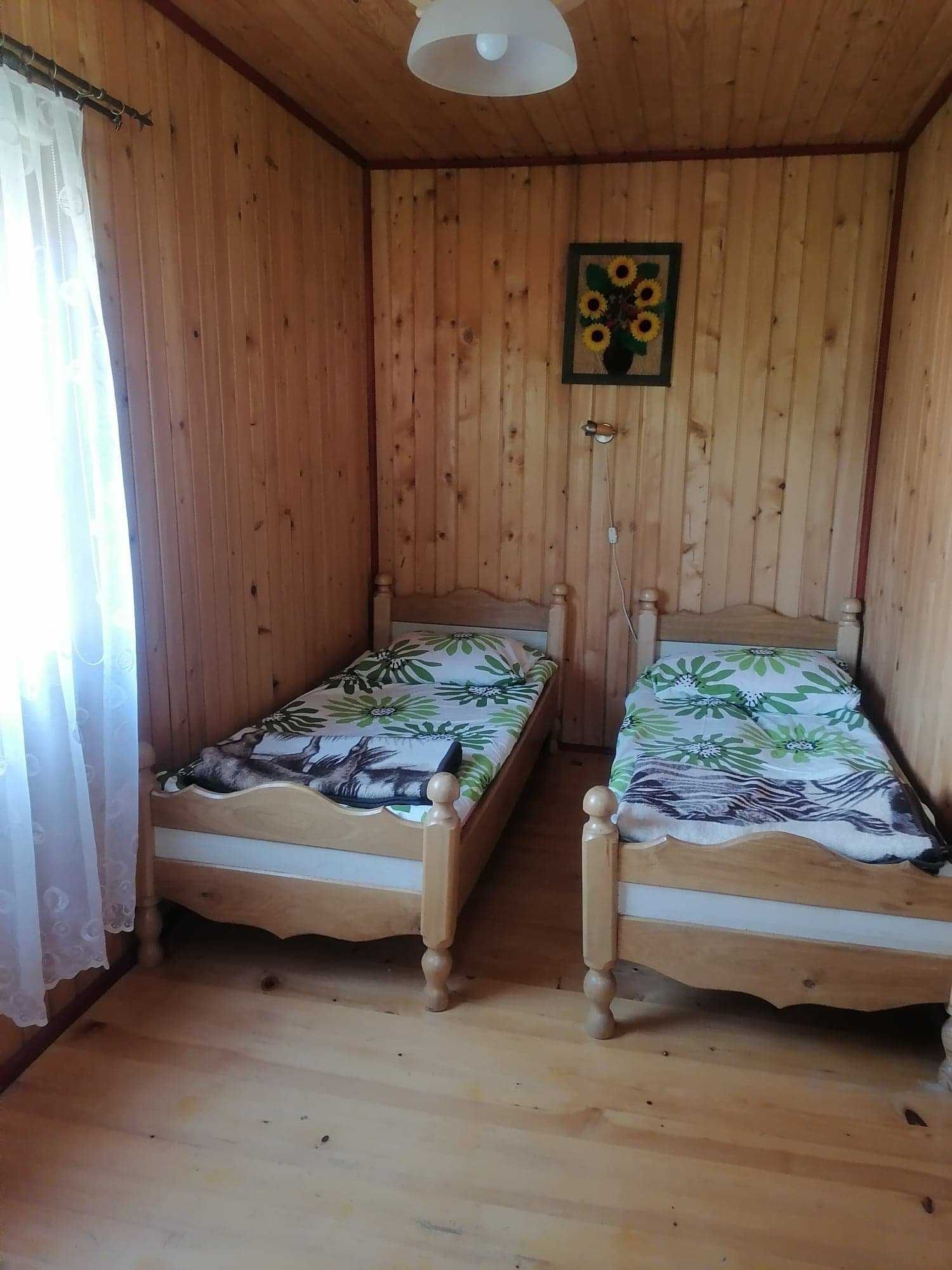 Domki, Bieszczady, Wołkowyja, gmina Solina