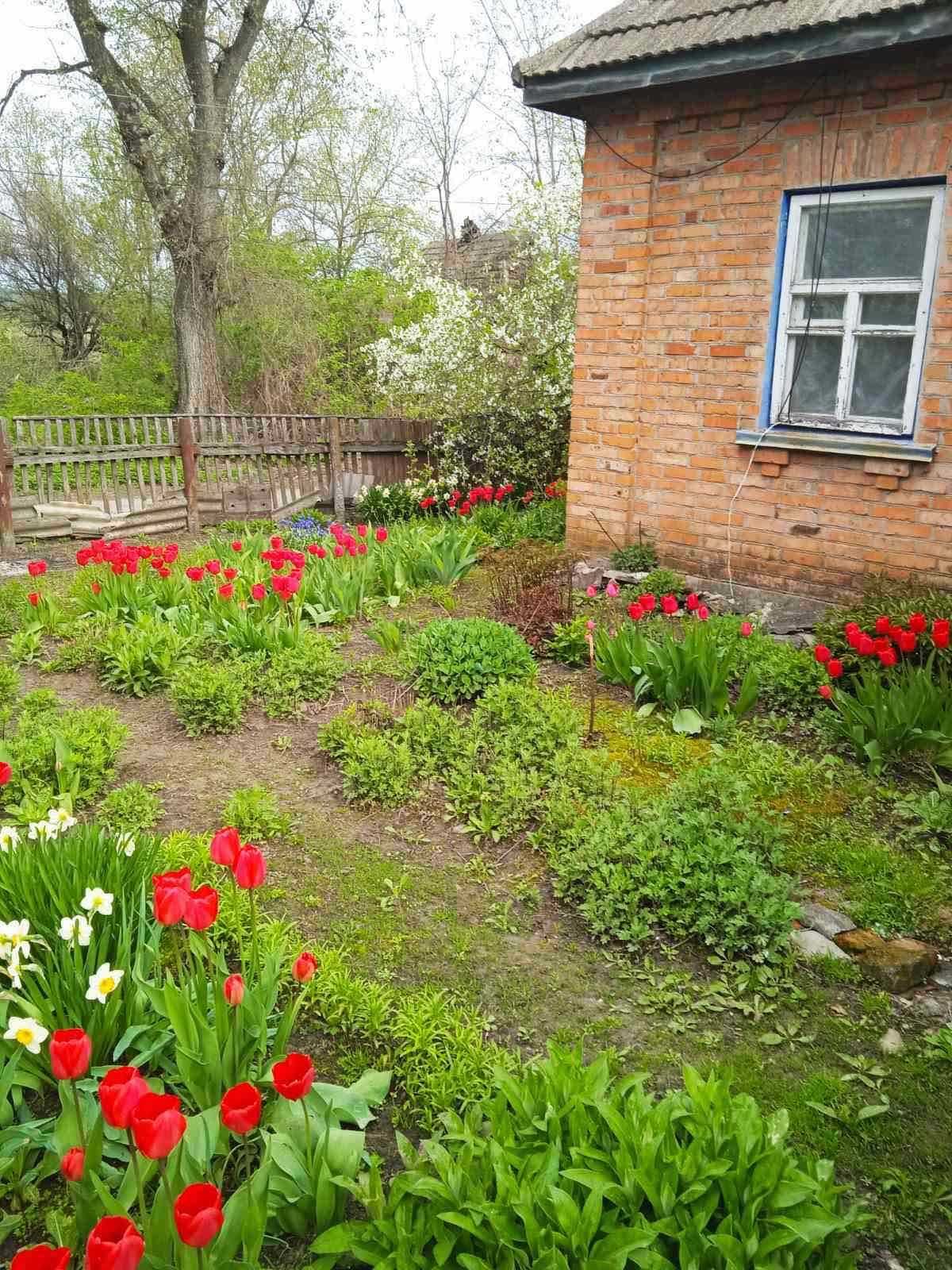 Продам будинок с.Пісочки
