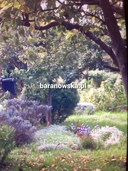 baranowska.pl - Tylko u nas - Dom Pogodno, ogród - dobra cena