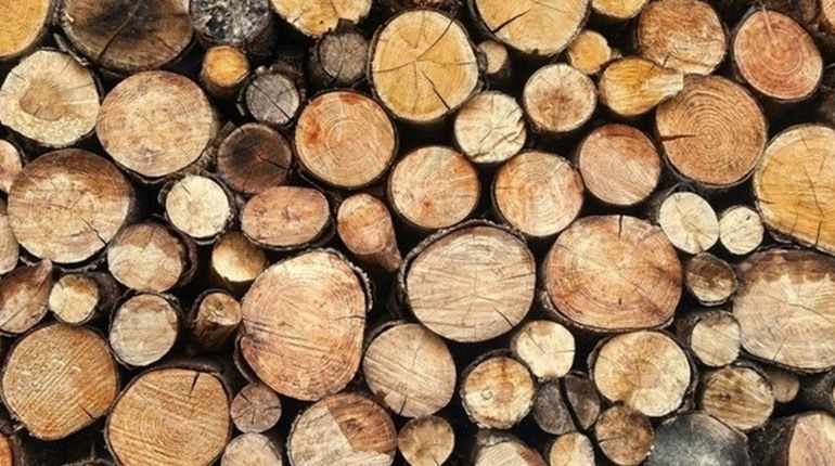 Продам дрова рубані та метрівки