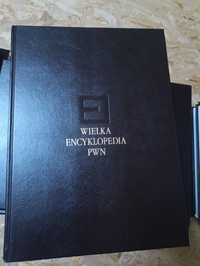 Wielka Encyklopedia PWN - 31 tomów