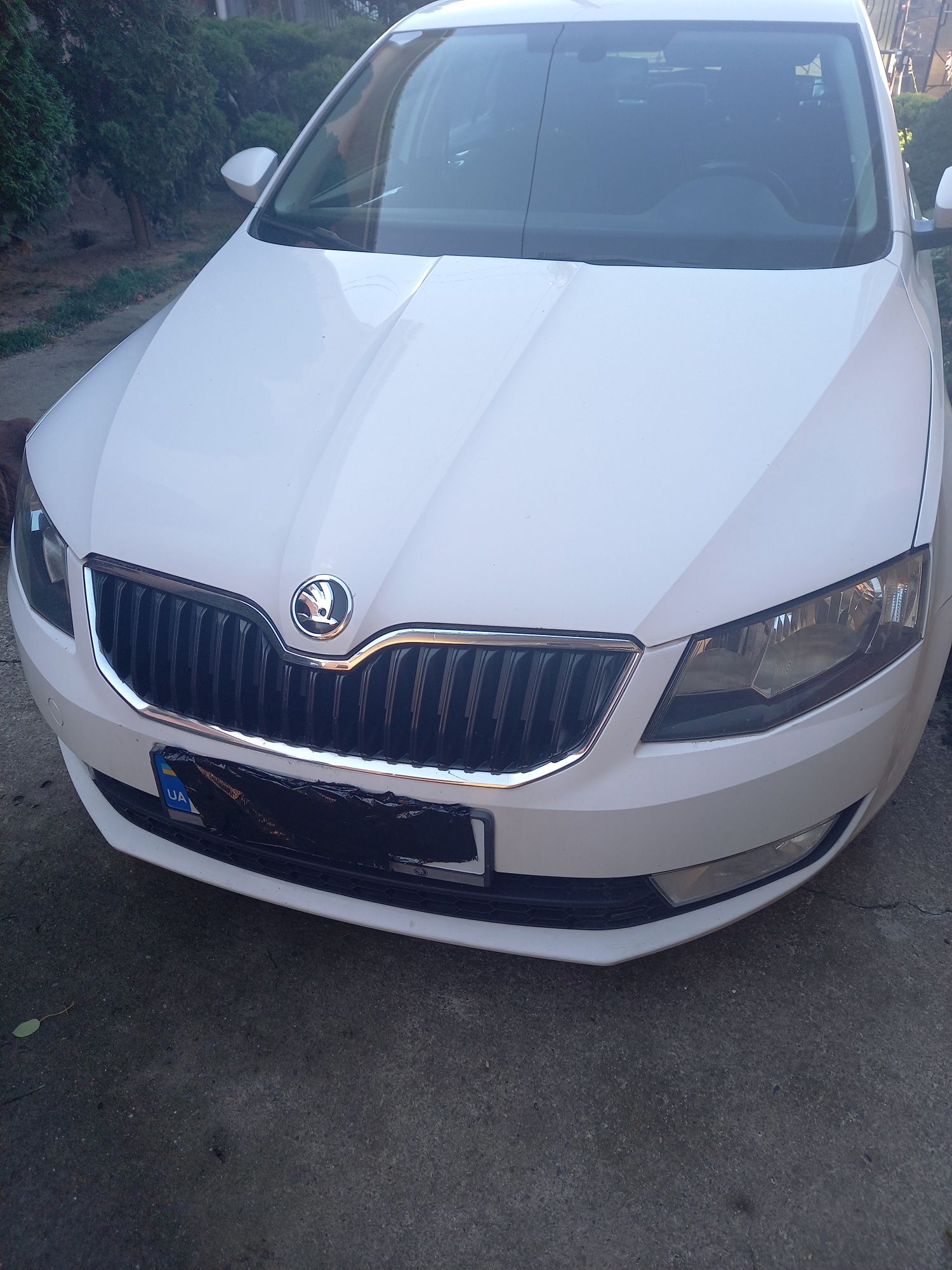 Шкода октавія А7 skoda octavia А7