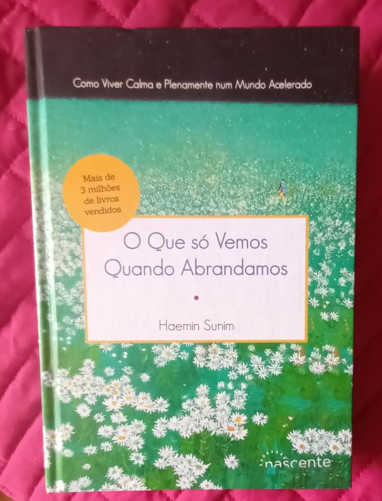 O Que Só Vemos Quando Abrandamos