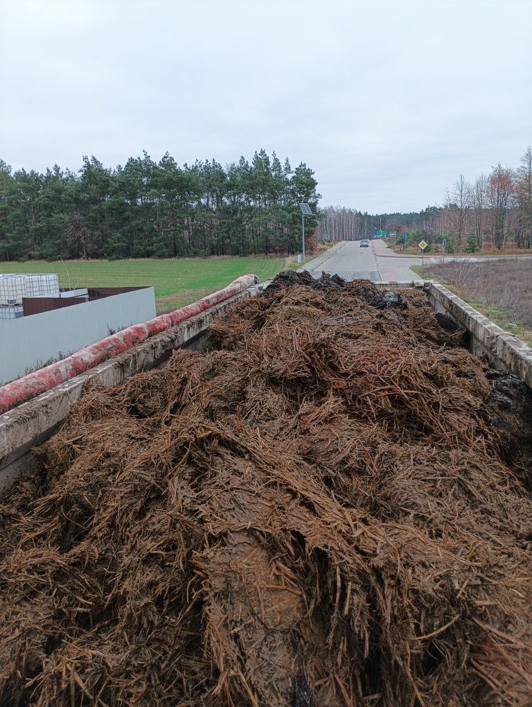 Obornik bydlęcy krowi dostawy 25 ton
