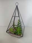 Trójkątne terrarium szklane z sztucznymi sukulentami