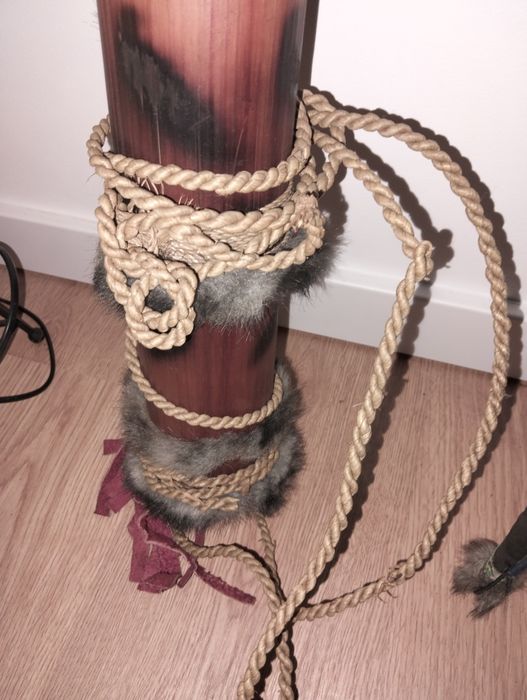 Conjunto arcos e flechas