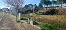 Lote de Moradia