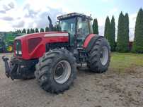 Massey Ferguson 8280  Ciągnik Massey Ferguson 8280 - OKAZJA