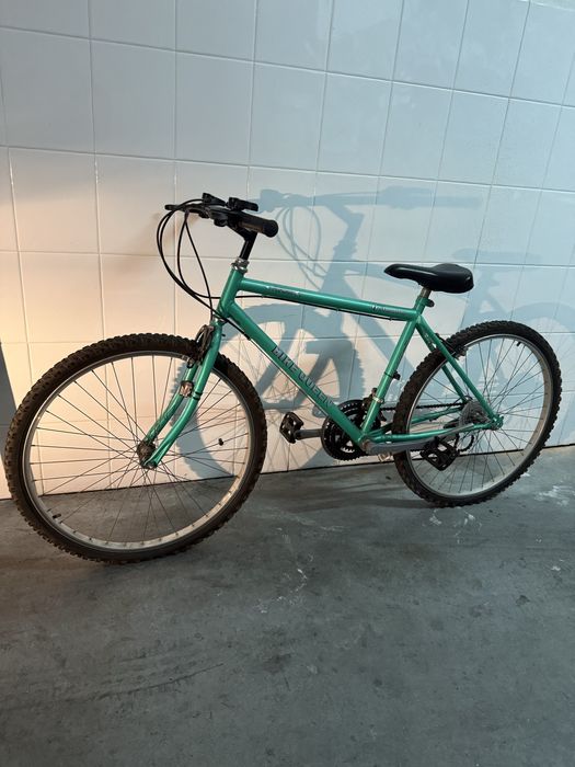 Bicicleta para adulto verde