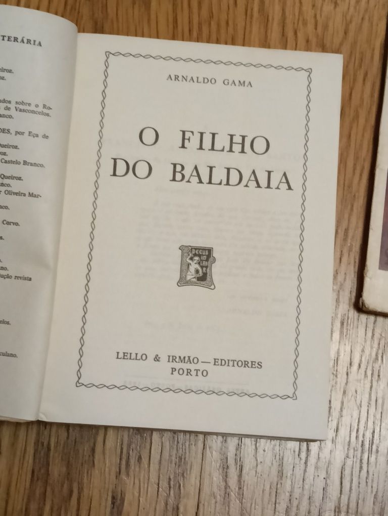 Livro O Filho do Baldaia