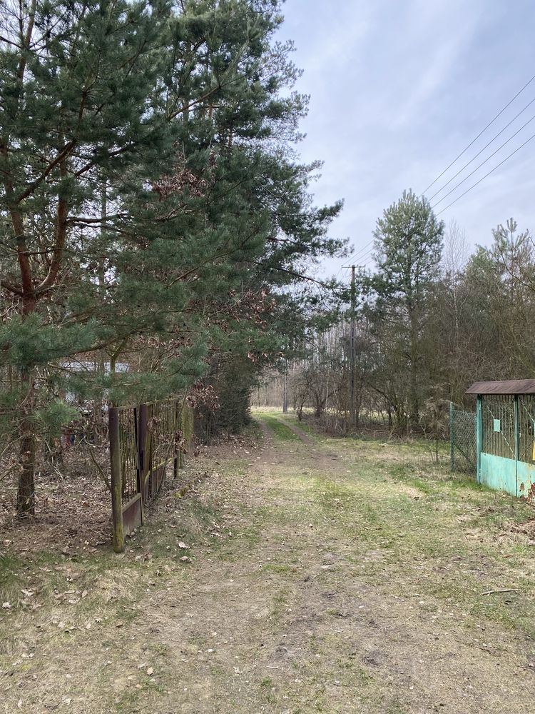 Działka do zabudowy nad zalewem Jeziorsko Nerki Siedlatków