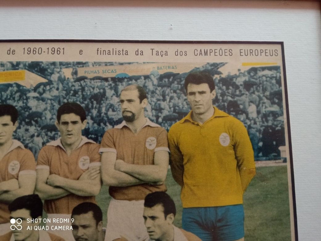 Quadro Benfica anos 60