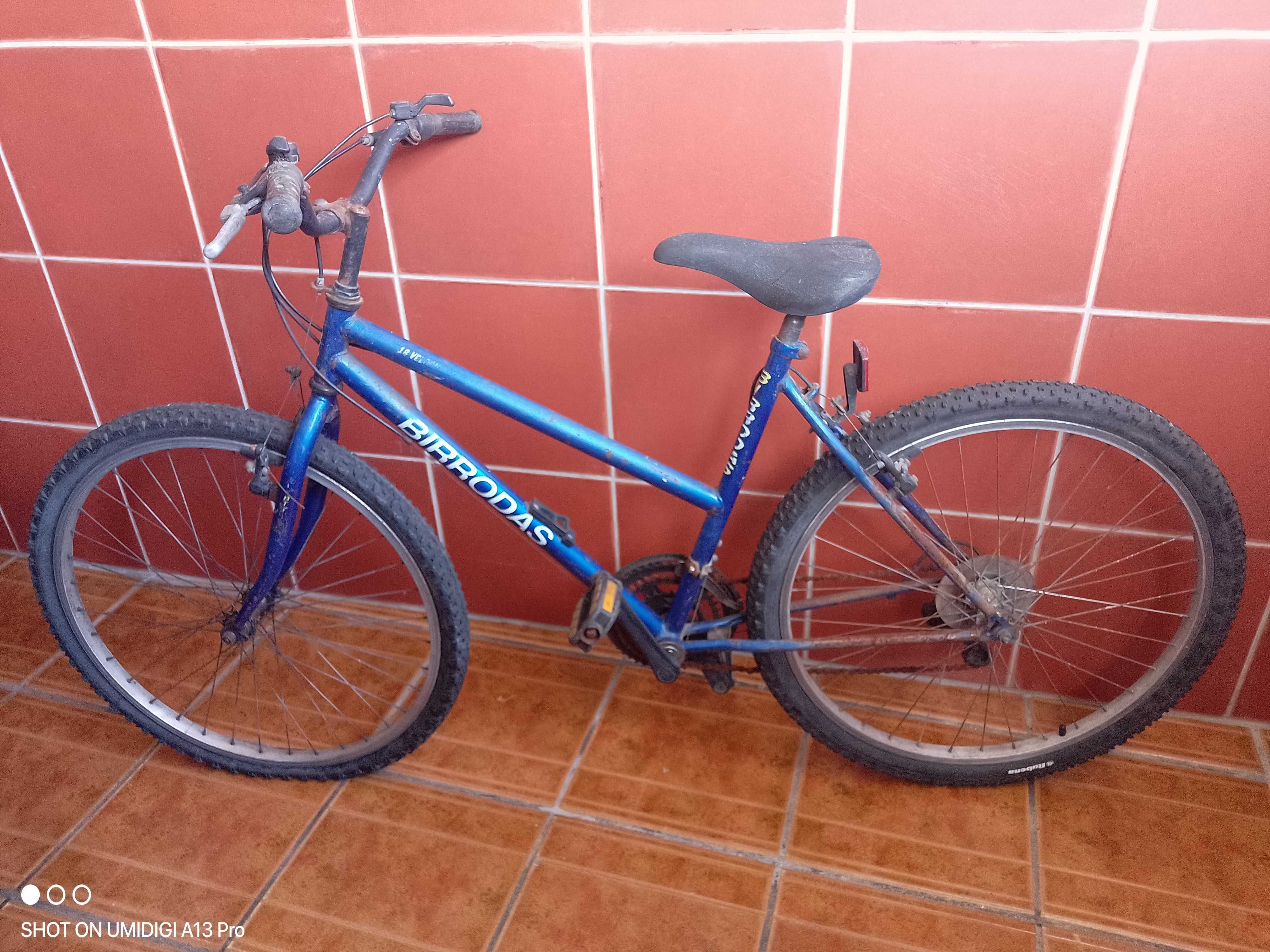 Bicicleta de senhora