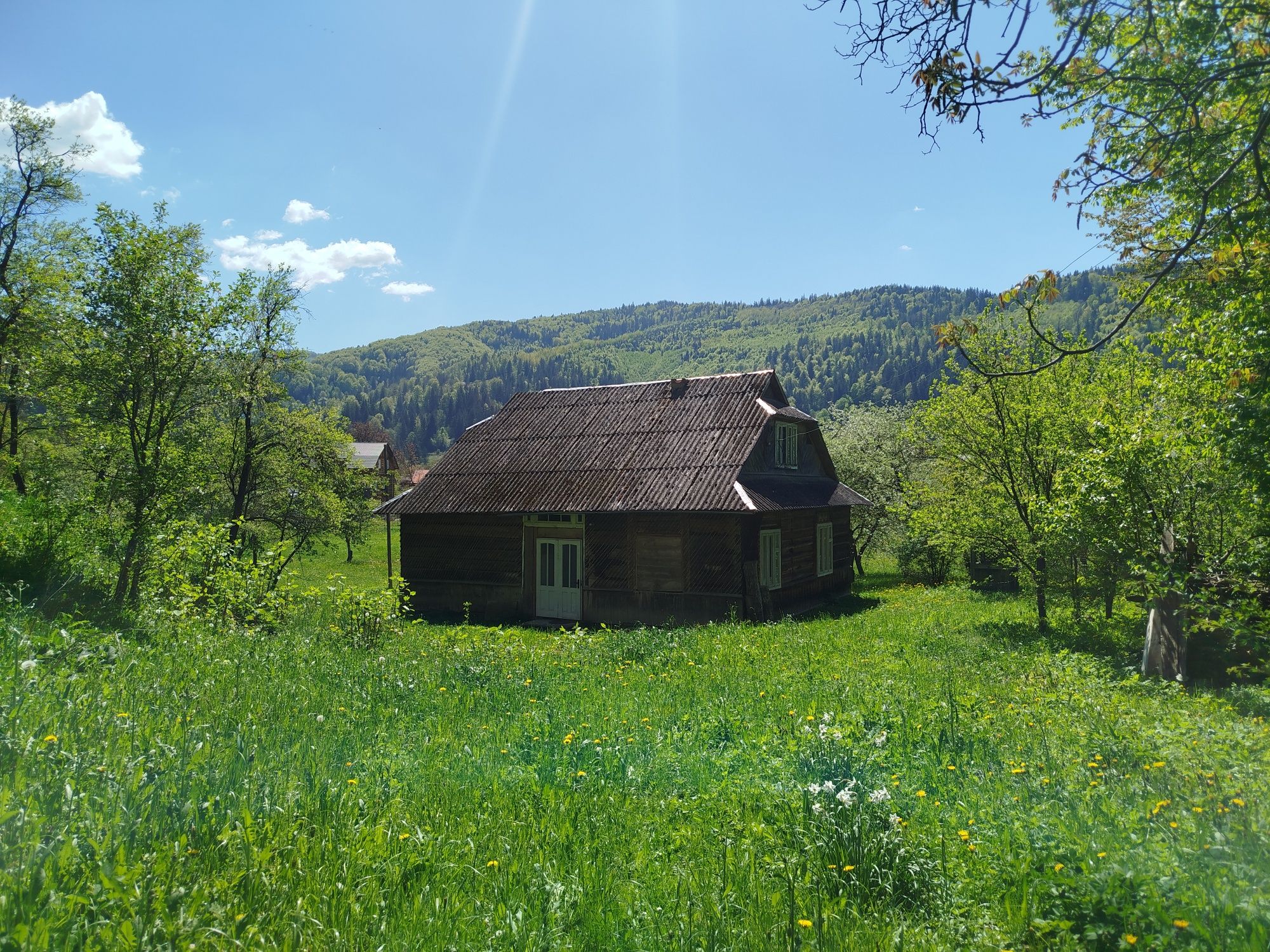 Терміново! Будинок та земля в Карпатах, річка, гори, краєвиди
