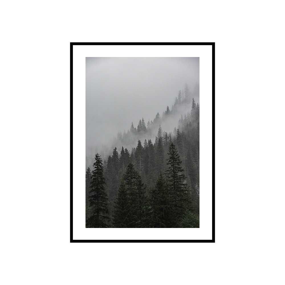 Obraz zdjęcie plakat format A3 30x40 cm mgła góry las trawy morze