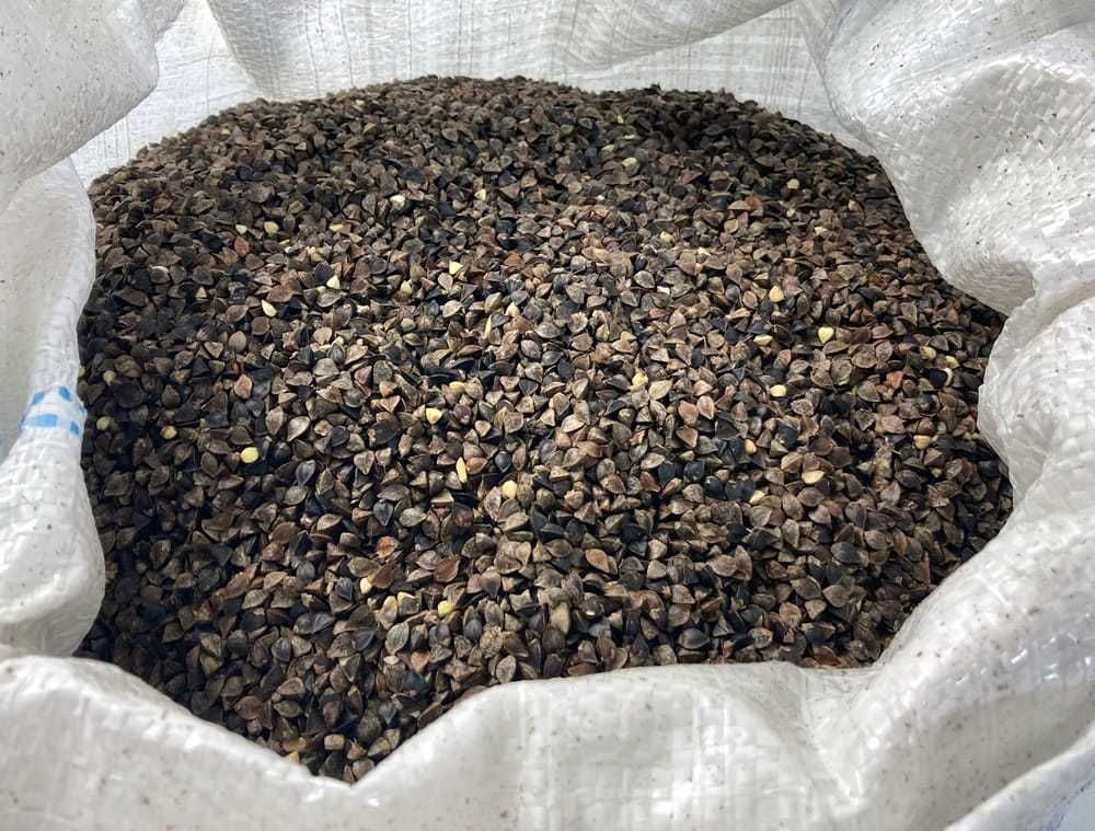 Gryka dla Kur Witaminy + Minerały + Błonnik 20 KG BIO