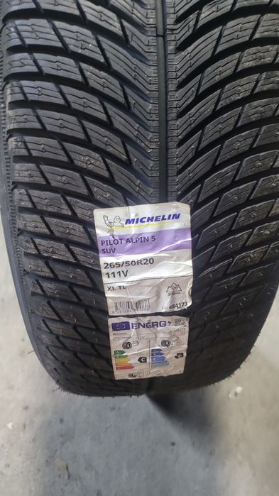 265 50 20 Michelin Pilot Alpin 5 SUV