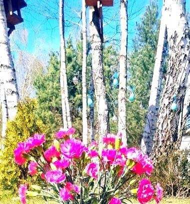 Domek w Radęcinie-wynajem-Nowy Rok 2025  - 31.12 do 04.01 (2500zł) 8os