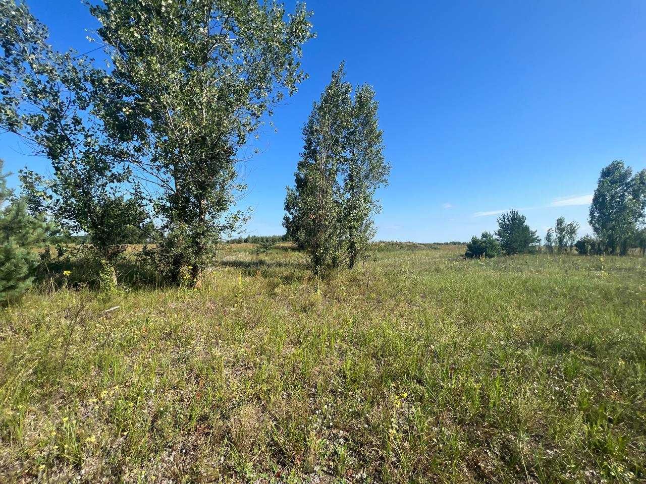 Продаж ділянки 11,6сот під садівництво. Асфальтований під'їзд. ID:461